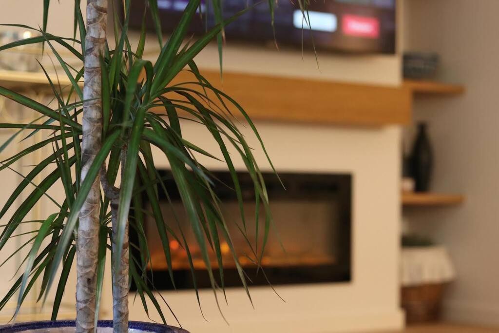 Lc Apartaments Voramar Беникасим Экстерьер фото